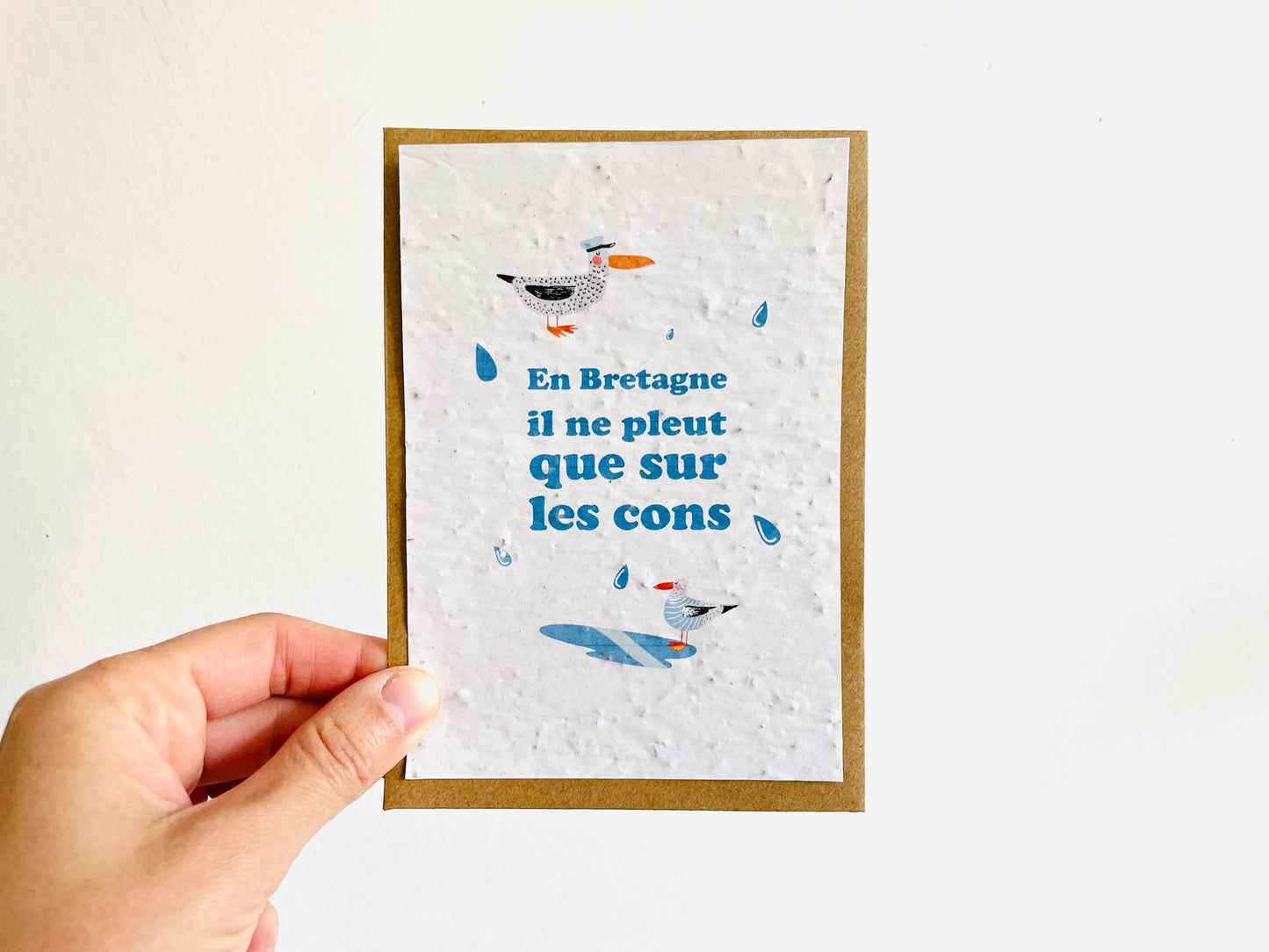 Carte à planter en Bretagne il ne pleut que sur les cons