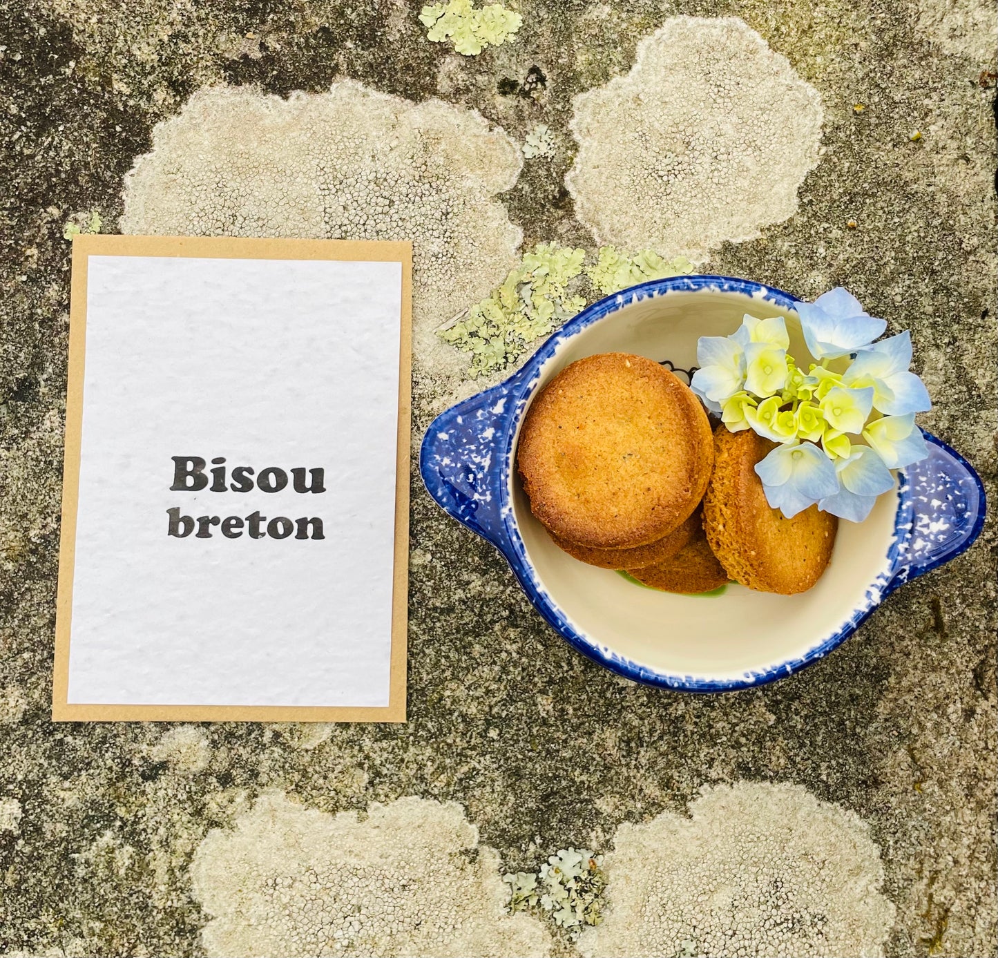 Carte à planter Bisou Breton