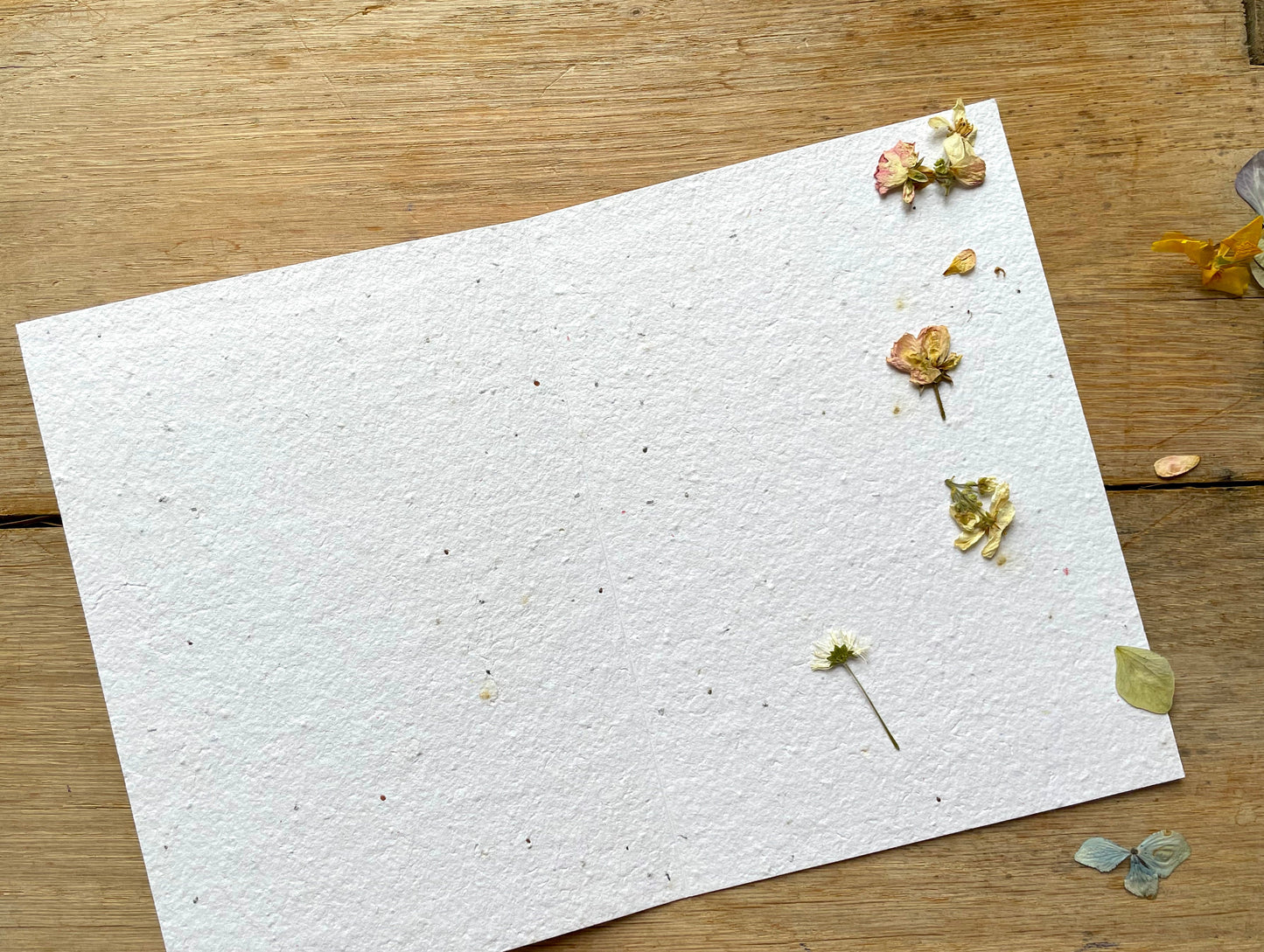 Grande carte à planter herbier