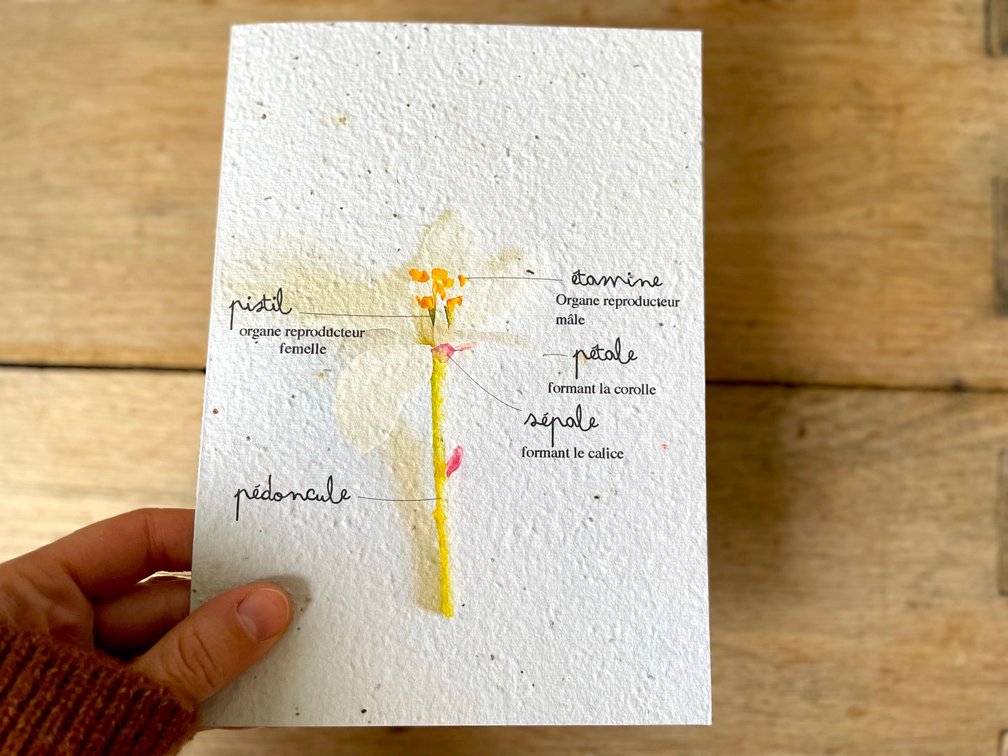 Grande carte à planter détail fleurs