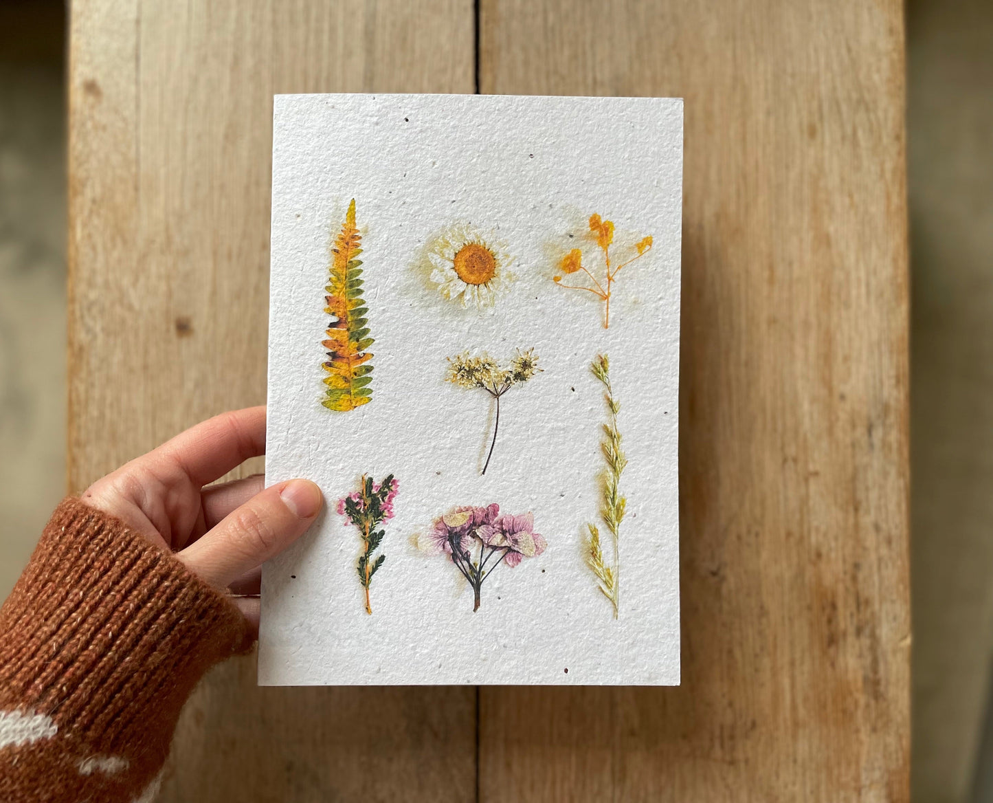 Grande carte à planter herbier