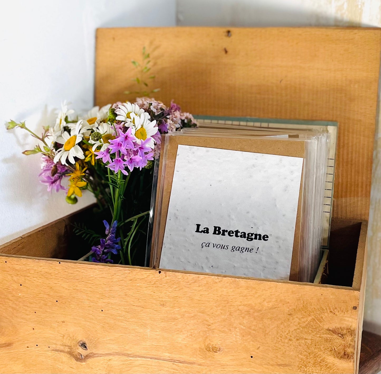 Carte à planter la Bretagne ça vous gagne !