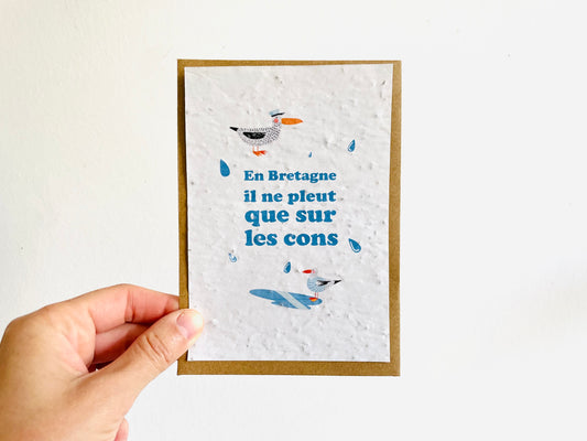 Carte à planter en Bretagne il ne pleut que sur les cons