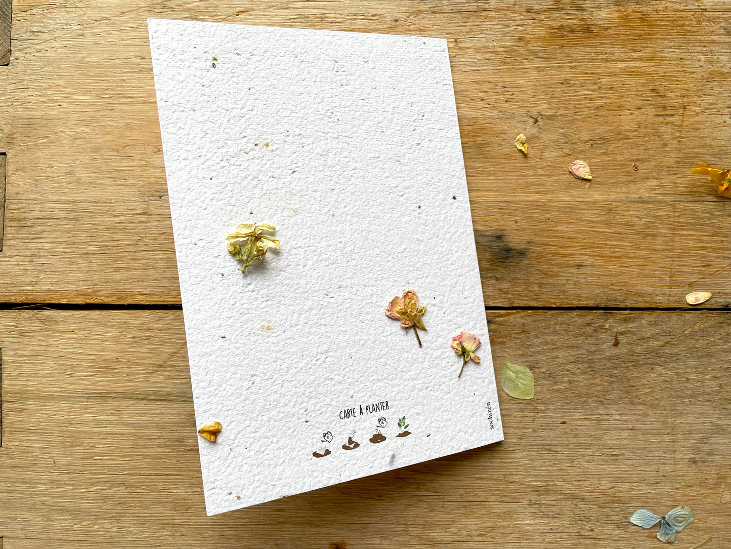 Grande carte à planter détail fleurs