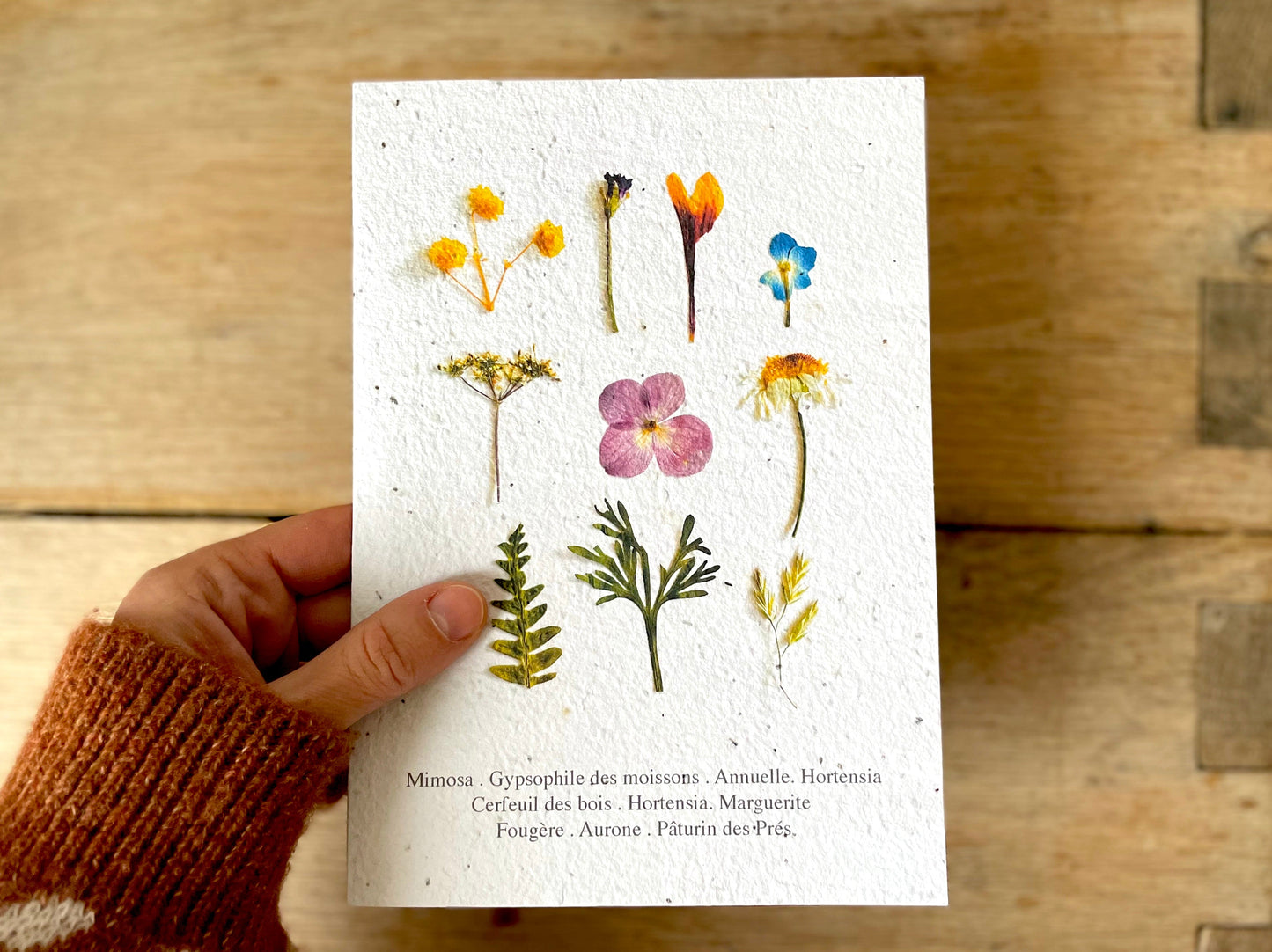 Grande carte à planter herbier