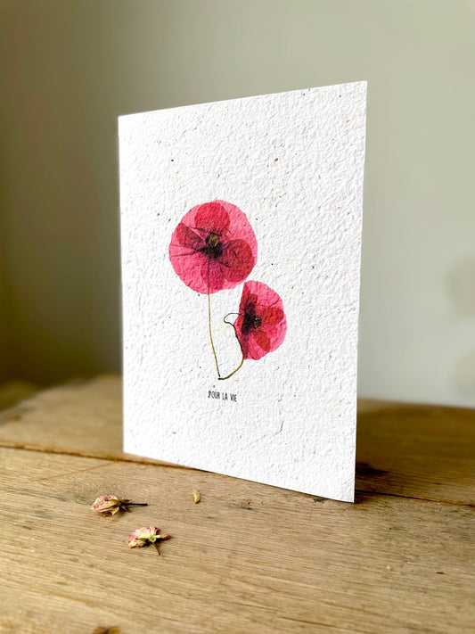 Grande carte à planter coquelicot