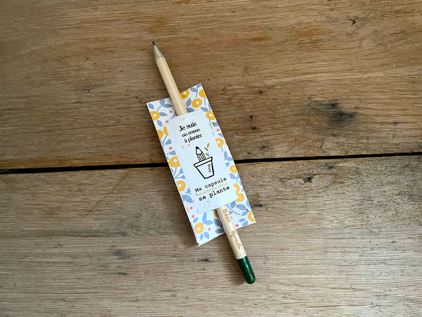 Crayon à planter Mimosa