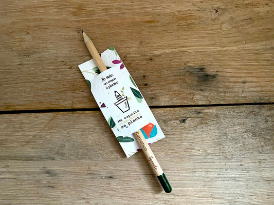 Crayon à planter herbes et tomates