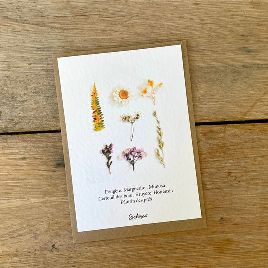 Carte Herbier