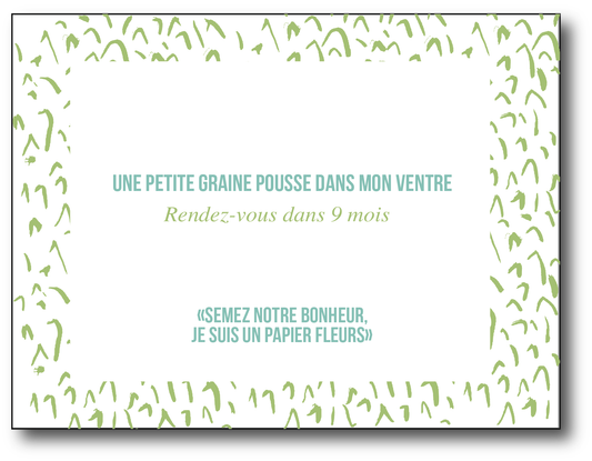 Graine