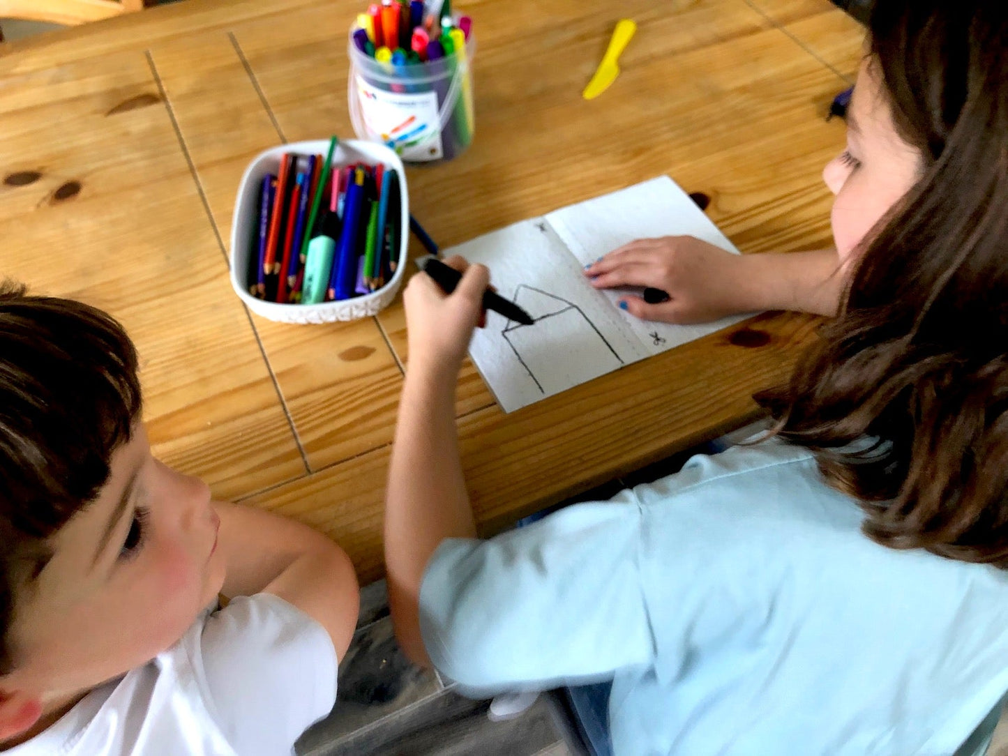 Carnet de dessin à planter pour enfant