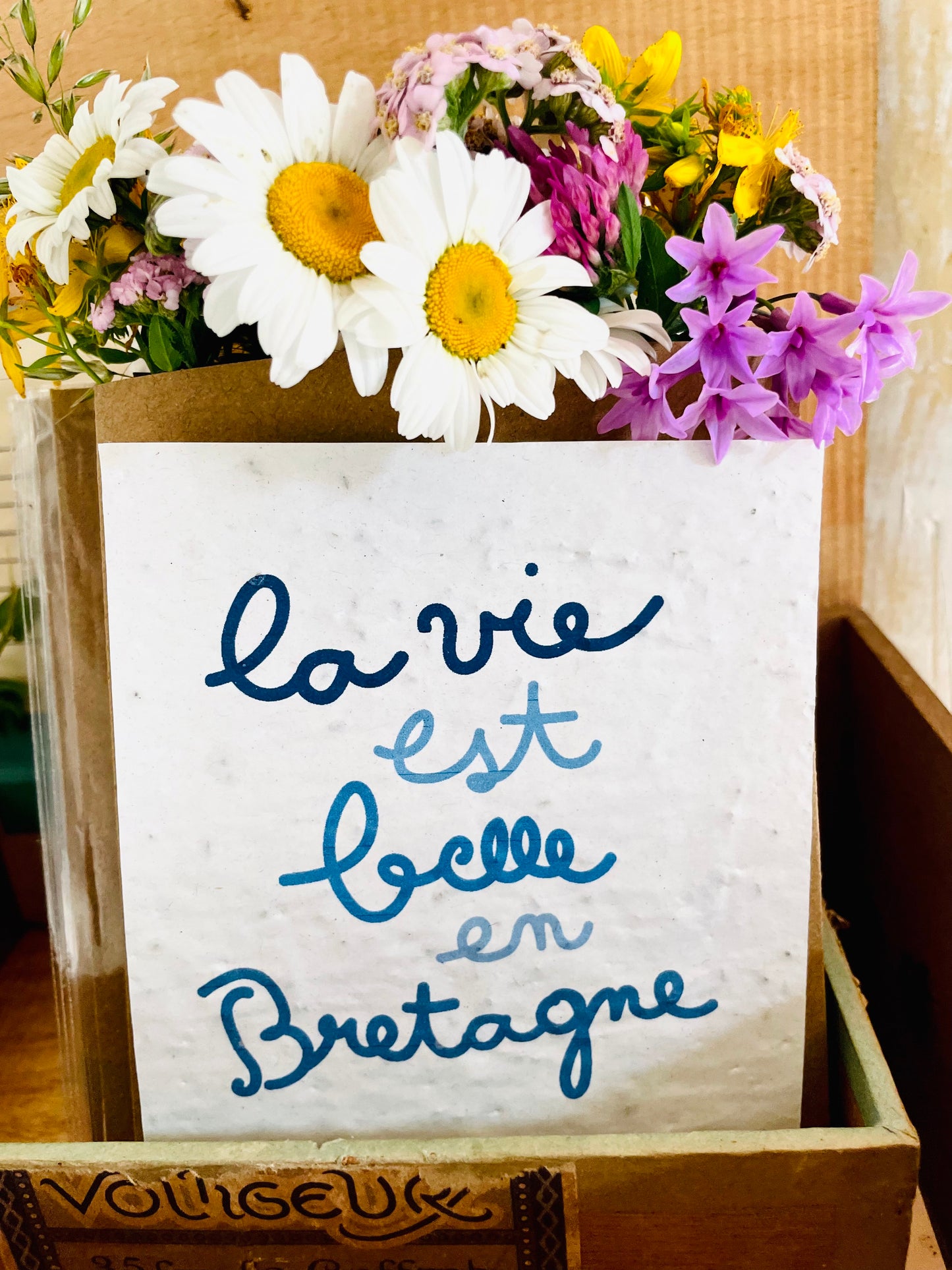 Carte la Bretagne est belle