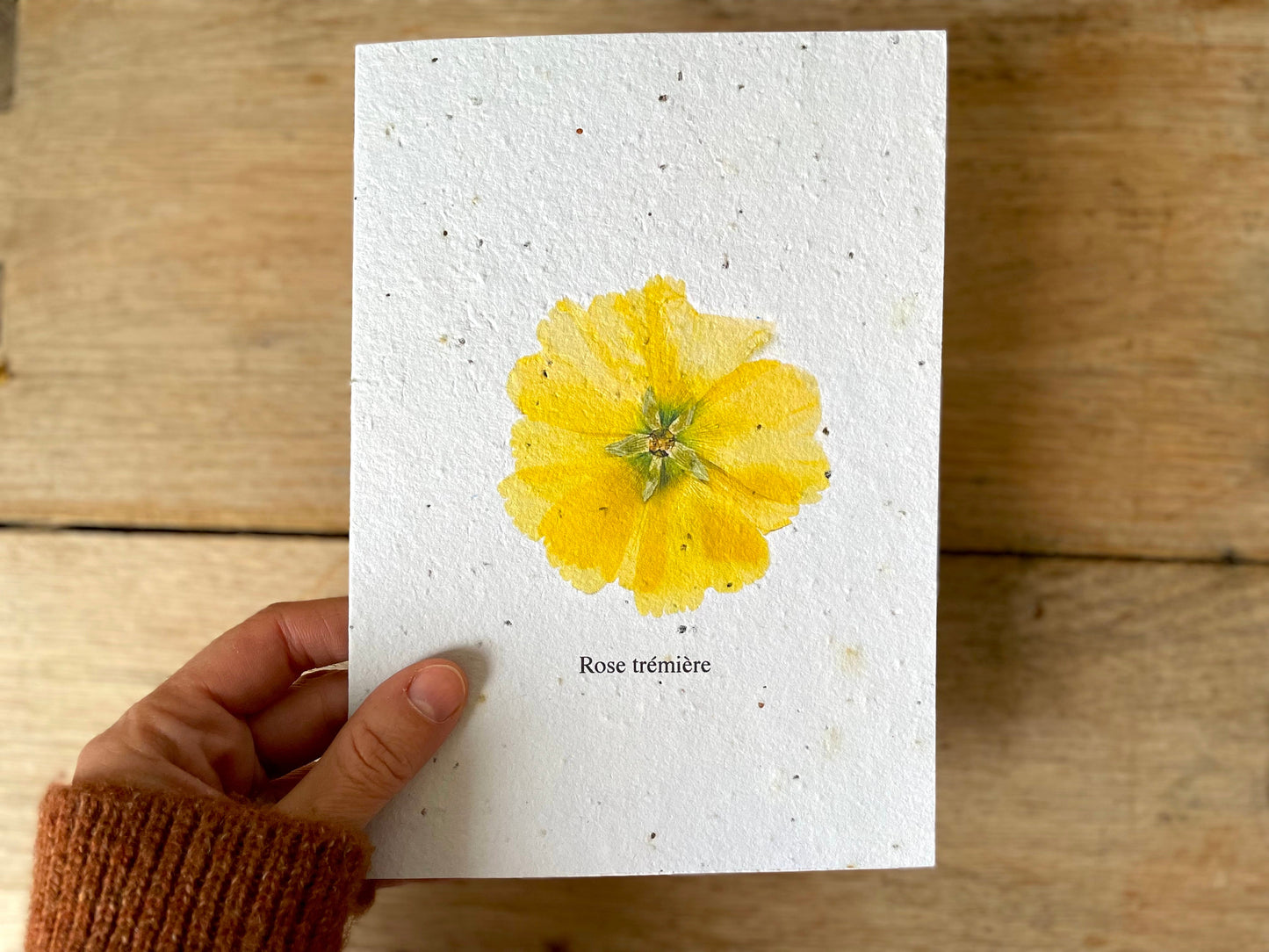 Grande carte à planter rose trémière